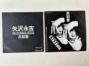 矢沢永吉 共犯者 非売品サンプル盤 通常盤2枚セット レア収録曲違い白無地ラベル 検ロックンロール　キャロル　クールス　マックショウ