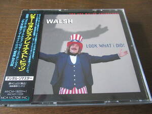 日本盤、2枚組、帯付、良品■ジョー・ウォルシュ【ジョー・ウォルシュ・グレイテスト・ヒッツ】JOE　WALSH■ジェイムス・ギャング