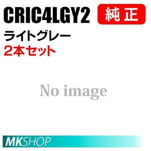 EPSON 純正インクカートリッジ CRIC4LGY2 ライトグレー 2本セット (PPPS-4E)