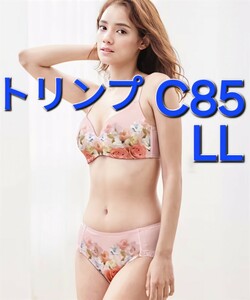 1,500円スタート　●1-17　新品　C85　LL　トリンプ　ブラジャー＆ショーツセット　ワイヤー入りのようなシルエットに　脇高仕様