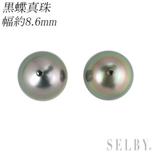 Pt900/ K14WG 黒蝶真珠 ピアス 幅約8.6mm SELBY