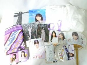 【同梱可】中古品 アイドル 乃木坂46 井上和他 チケットホルダー パーカーサイズXL タオル等グッズセット