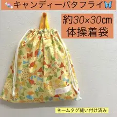 巾着728番　本体30×30㎝　全長36㎝ 体操着袋★キャンディーバタフライ