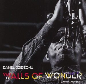 ♪消費税不要♪ ダニエル・ジゾヌ Daniel Dzidzonu - Walls Of Wonder [World Groove Records WO-GRO-016]