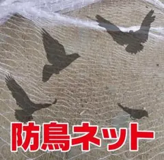 透明 防鳥ネット ベランダ 鳥よけ 網 田畑 鳥害対策（4×10m）