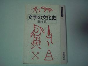 文字の文化史　 藤枝晃　岩波書店　同時代ライブラリー　1991年10月15日 初版