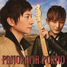 PANORAMA PORNO 通常盤 レンタル落ち 中古 CD