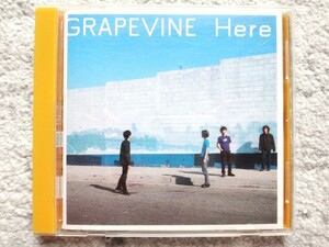 D【 GRAPEVINE / Here 】見本盤　CDは４枚まで送料１９８円