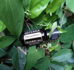 【新品 未開封 最安】ドテラ doTERRA クレメンタイン 15ml 25年代