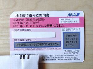 複数枚可　【番号通知のみ】　1枚　ANA 株主優待券 全日空