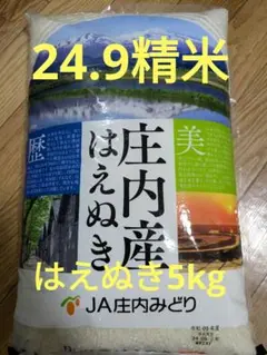 【新品未開封】山形　庄内産　令和5年度　精米　はえぬき5kg