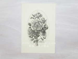 林由紀子銅版蔵書票「薔薇の夢想」