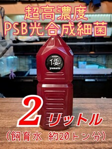 【倭めだか】 ２リットル 超高濃度 PSB 光合成細菌 ２L メダカ金魚ベタゾウリムシ タマミジンコ オオミジンコ タイリクミジンコ 等のエサに