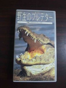 【VHS】 野生のプレデター 甲冑におおわれたモンスター 日本語吹替版