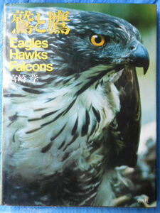 宮崎 学　鷲と鷹　平凡社　Eagles Hawks Falcons