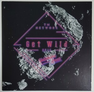 TM NETWORK 「Get Wild 2015」 ライブ会場限定販売 CD