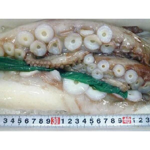 4-5人前　生タコ 北海生たこ 刺身用 約1kg タコ たこ 蛸 鮹