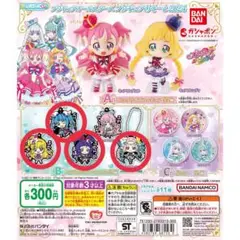 プリキュアオールスターズプリキュアあそーと2024 B賞