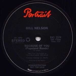 米12 Bill Nelson Because Of You RAS2574PROMO Portrait /00250