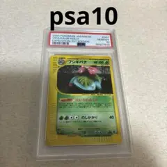 フシギバナ　e psa10