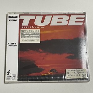 新品未開封CD TUBE『風に揺れるTomorrow』AICL-1384