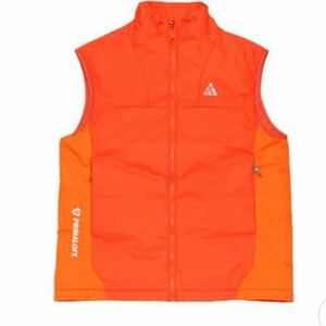 NIKE ACG TFADV ROP DE DOP VEST - DQ5778-891サイズS