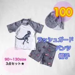 【100サイズ】男の子ダイナソー柄スイムウェアセットアップ　水着　恐竜柄　キッズ