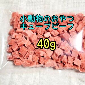 小動物 国産キューブビーフ 40g フェレット フクロモモンガ ハリネズミ ハムスター リス 小動物おやつ フィッシュスティック