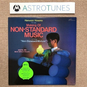 良盤 細野晴臣 Haruomi Hosono 1984年 12インチEPレコード Making Of Non-Standard Music J-Rock 限定リリース グロビュール