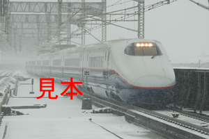 鉄道写真データ（JPEG）、00254271、E2系（N10編成）（雪）、JR大宮駅、2014.02.08、（7113×4747）