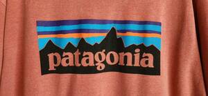 パタゴニア ポケット付き 両面 プリント 半袖 Tシャツ メンズ XL/Patagonia アウトドア T P-6 ボックスロゴ バックプリント　デカロゴ 