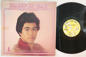 米LP Brandon Bray A Contemporary Hawaiian And His Music HS569 HULA /00260