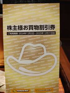 イエローハット 株主優待券 30000円分 2025年12月31日迄