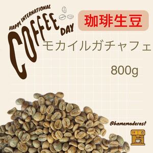 コーヒー生豆　モカイルガチャフェG1 800g