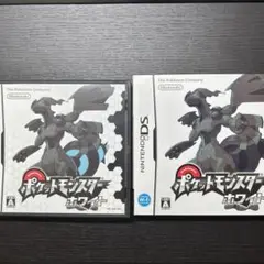 ポケットモンスター ホワイト ニンテンドーDS