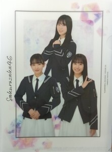 小島凪紗　村井優　山下瞳月　　櫻坂46（Ａ４）クリアファイル 同梱可