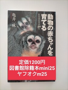 【図書館除籍本mini25】動物の赤ちゃんを育てる　動物園飼育員５０年 （朝日選書　７１１） 亀井一成／著