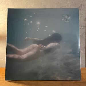 【廃盤LP】青葉市子「アダンの風」アナログ レコード