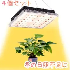 4個セット 植物ライト 植物育成ライト LED ランプ 室内 温室栽培 温室