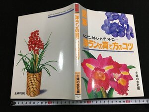 tk△　園芸　図解　洋ランの育て方のコツ　シンビ、カトレヤ、デンドロ　主婦の友社編　平成3年　8刷　/a03