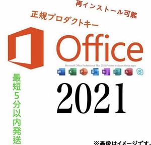 【Office2021 認証保証 】Microsoft Office 2021 Professional Plus オフィス2021 プロダクトキー 正規 Word Excel 手順書あり木