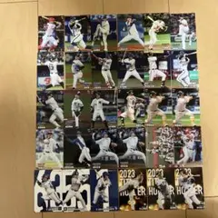 プロ野球チップス2024 カード