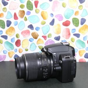 ◇NIKON ニコン D60 ◇スマホ転送♪ ◇ショット数極少♪