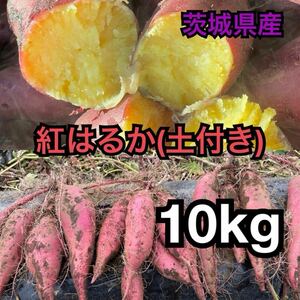 新物茨城県産★紅はるか約10kg（土付き）