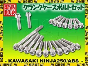 チタンボルト カワサキ Ninja250/ABS専用 ニンジャ250 EX250 2015-2017(EX250LE011634 -) クランクケース エンジンカバー 20本 シルバー