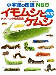 イモムシとケムシ チョウ・ガの幼虫図鑑 小学館の図鑑NEO/鈴木知之(著者)