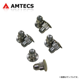 AMTECS アムテックス SPC 86325 交換用アライメントピン 8個入 フロント用 いすゞ i-350 2006～2006 4WD 4x4