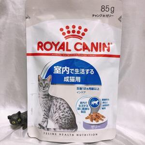 ロイヤルカナン　インドアゼリー　成猫　パウチ　85g19個　ウエット　キャットフード　