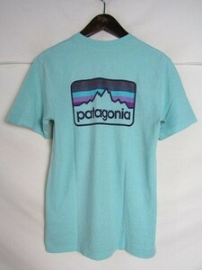 Patagonia　パタゴニア バックロゴプリント Tシャツ 39045 　Sサイズ　グリーン