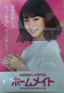 桐谷美玲 A4 クリアファイル 送料込み